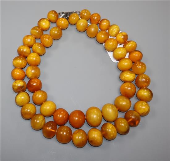 Two single strand amber bead necklaces, gross weight 245 grams, longest 54cm.